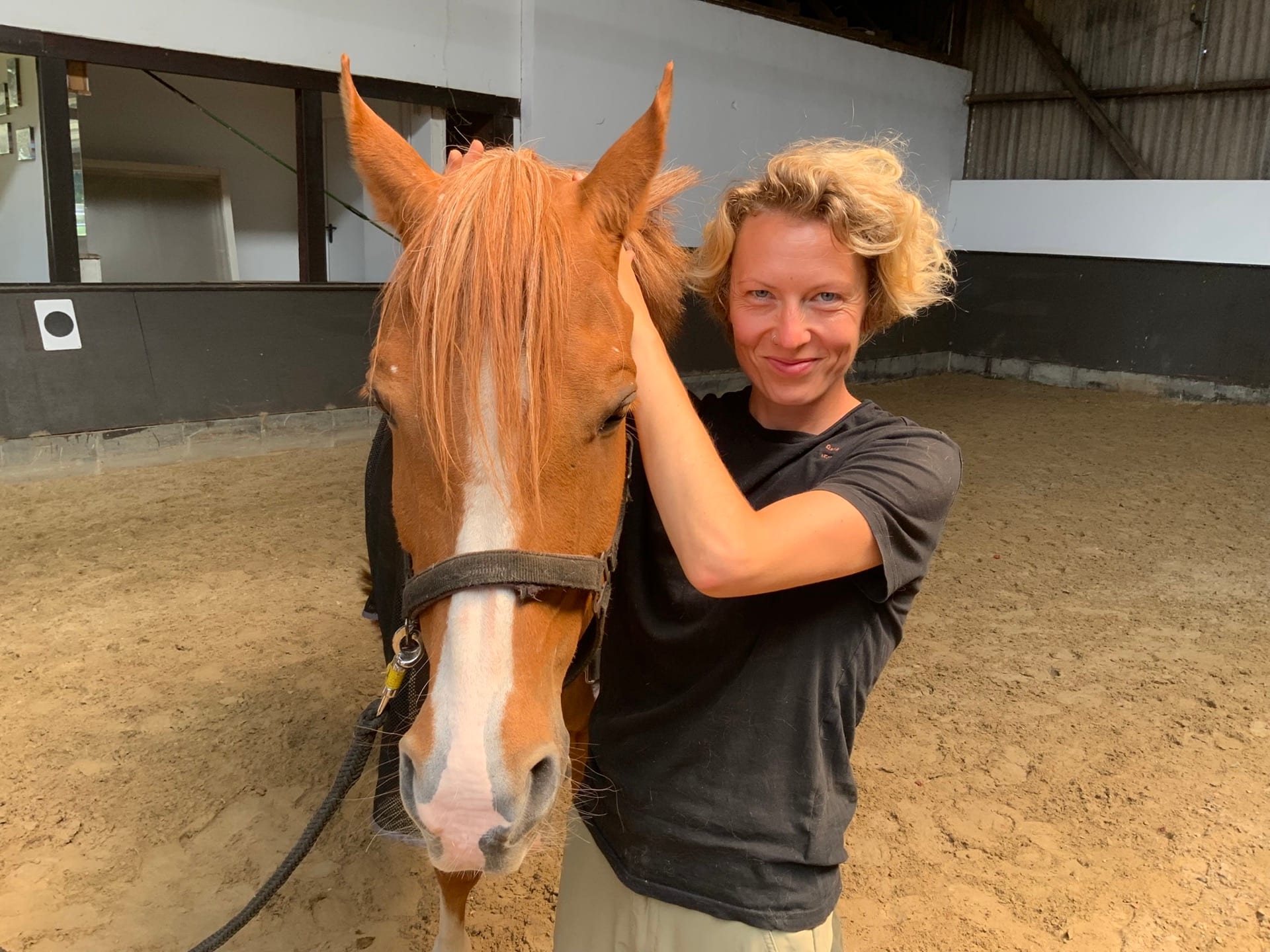 Advanced Equine seminar photo 1.