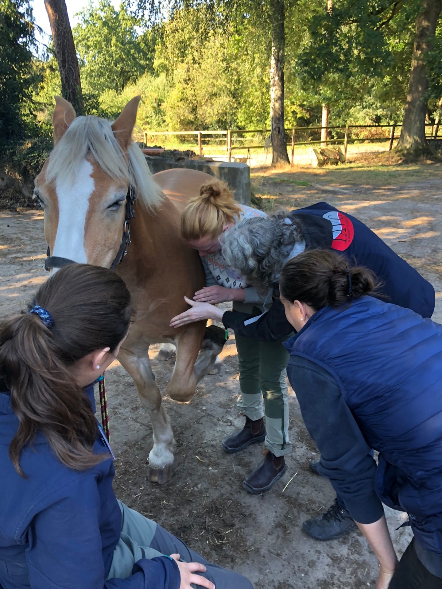 Advanced Equine seminar photo 1.