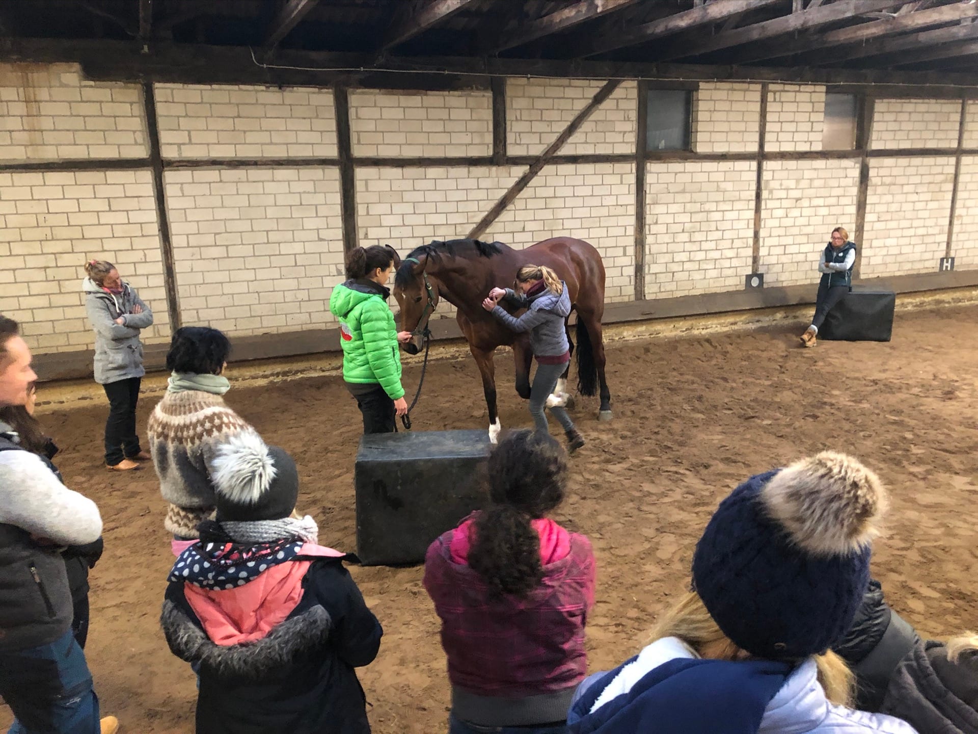 Advanced Equine seminar photo 5.