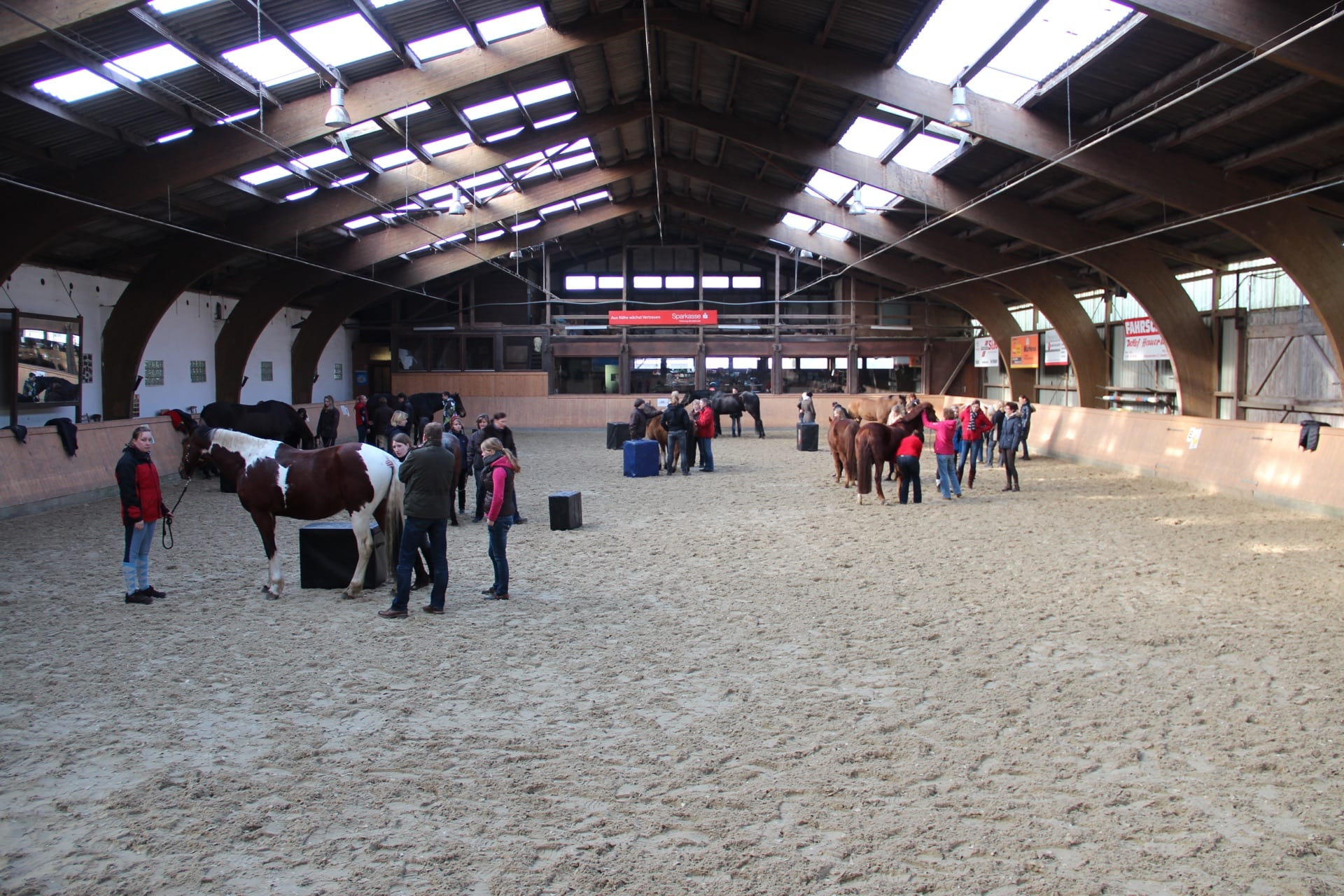 Advanced Equine seminar photo 2.