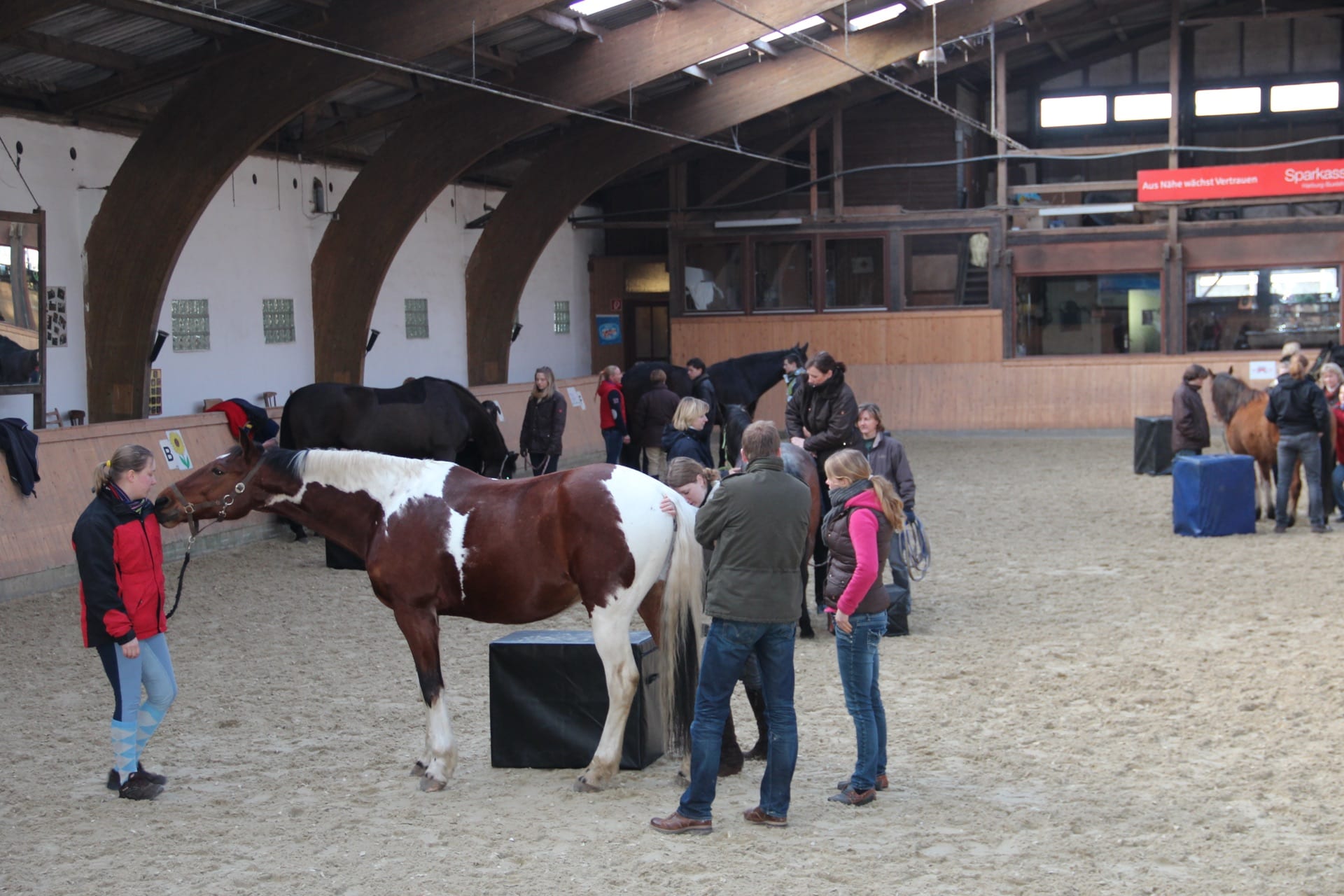 Advanced Equine seminar photo 3.