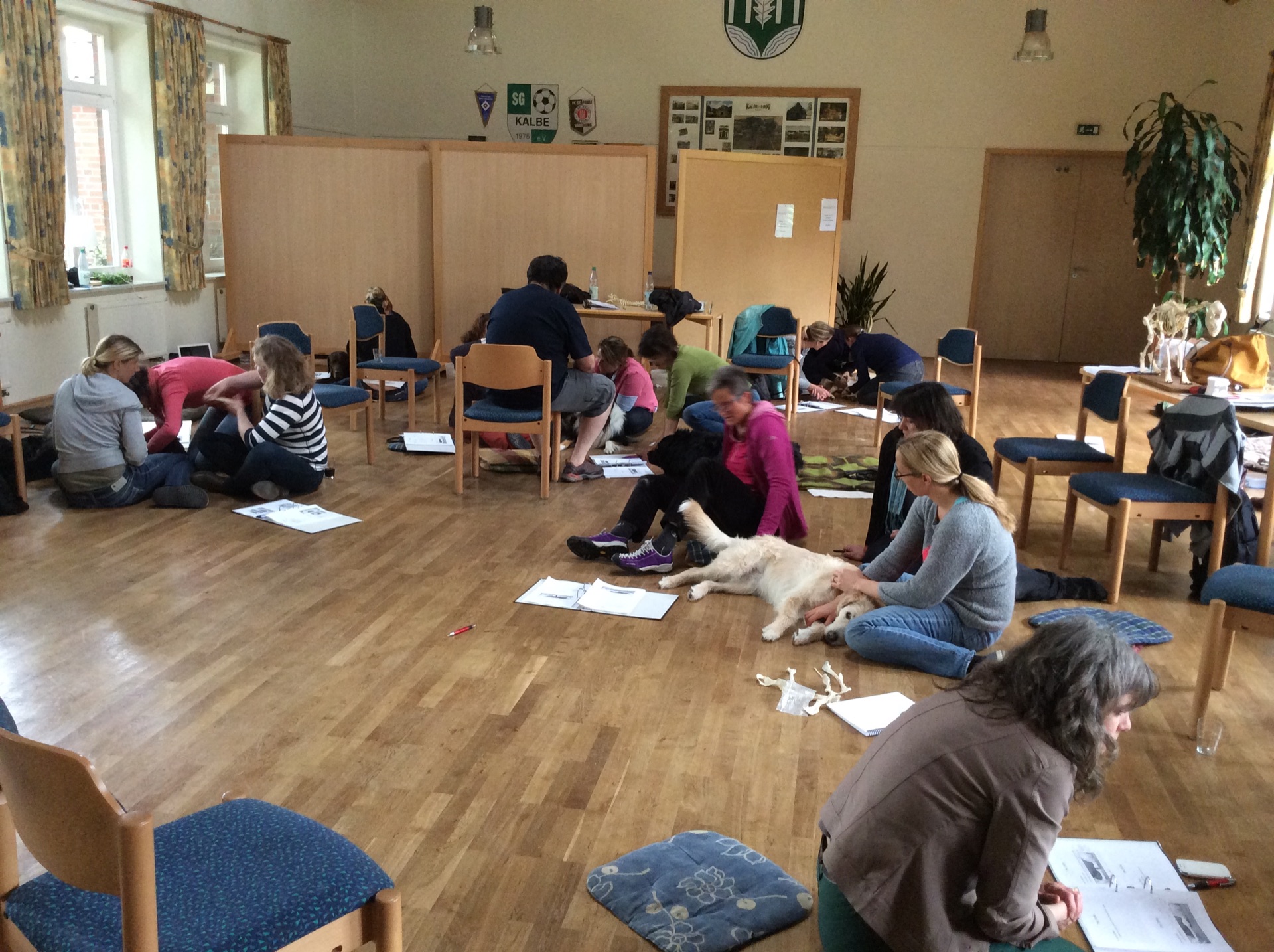 Advanced Small Animal seminar photo 3.