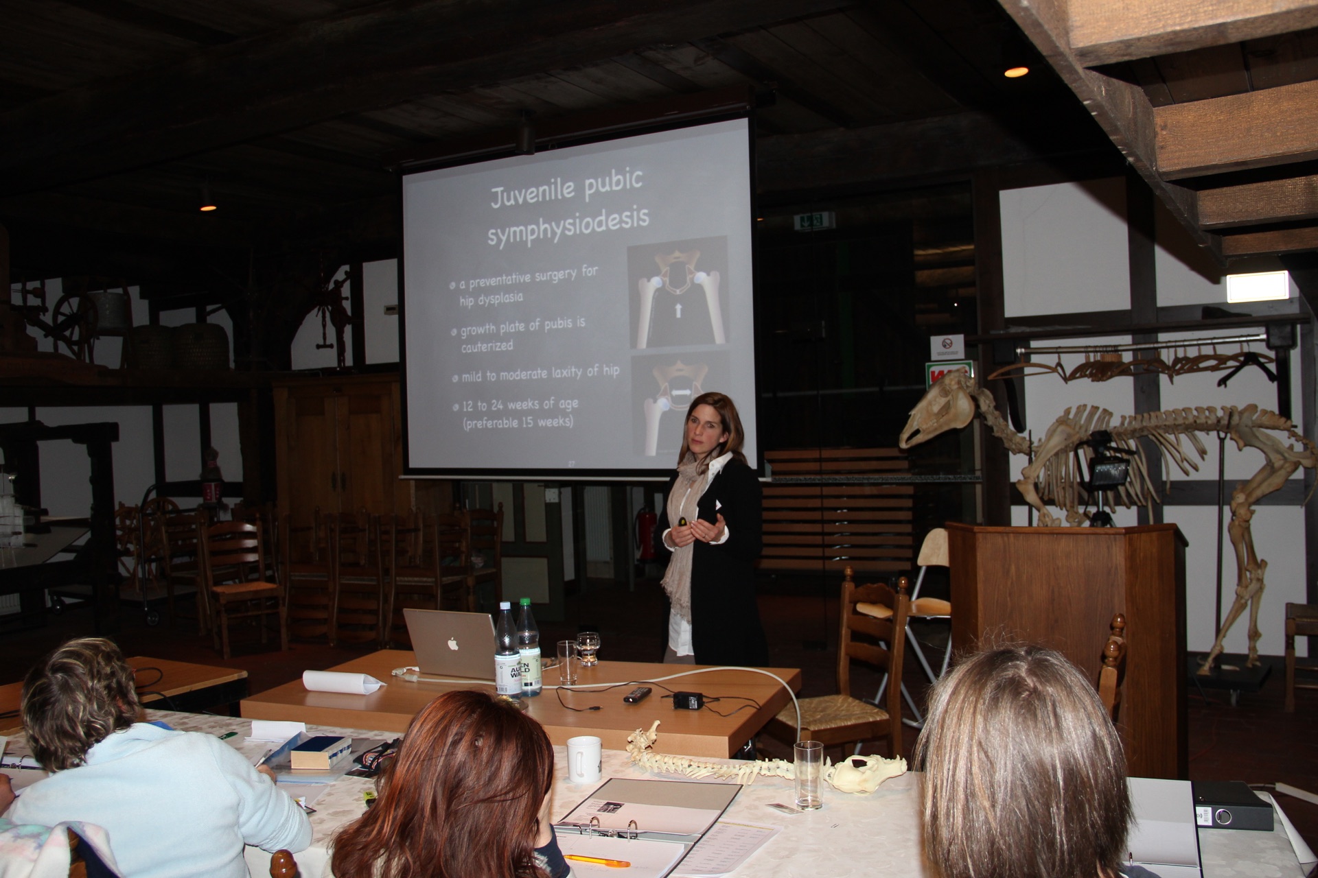 Advanced Small Animal seminar photo 6.