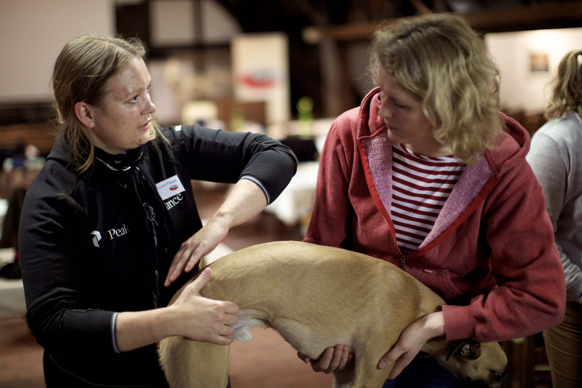 Advanced Small Animal seminar photo 5.