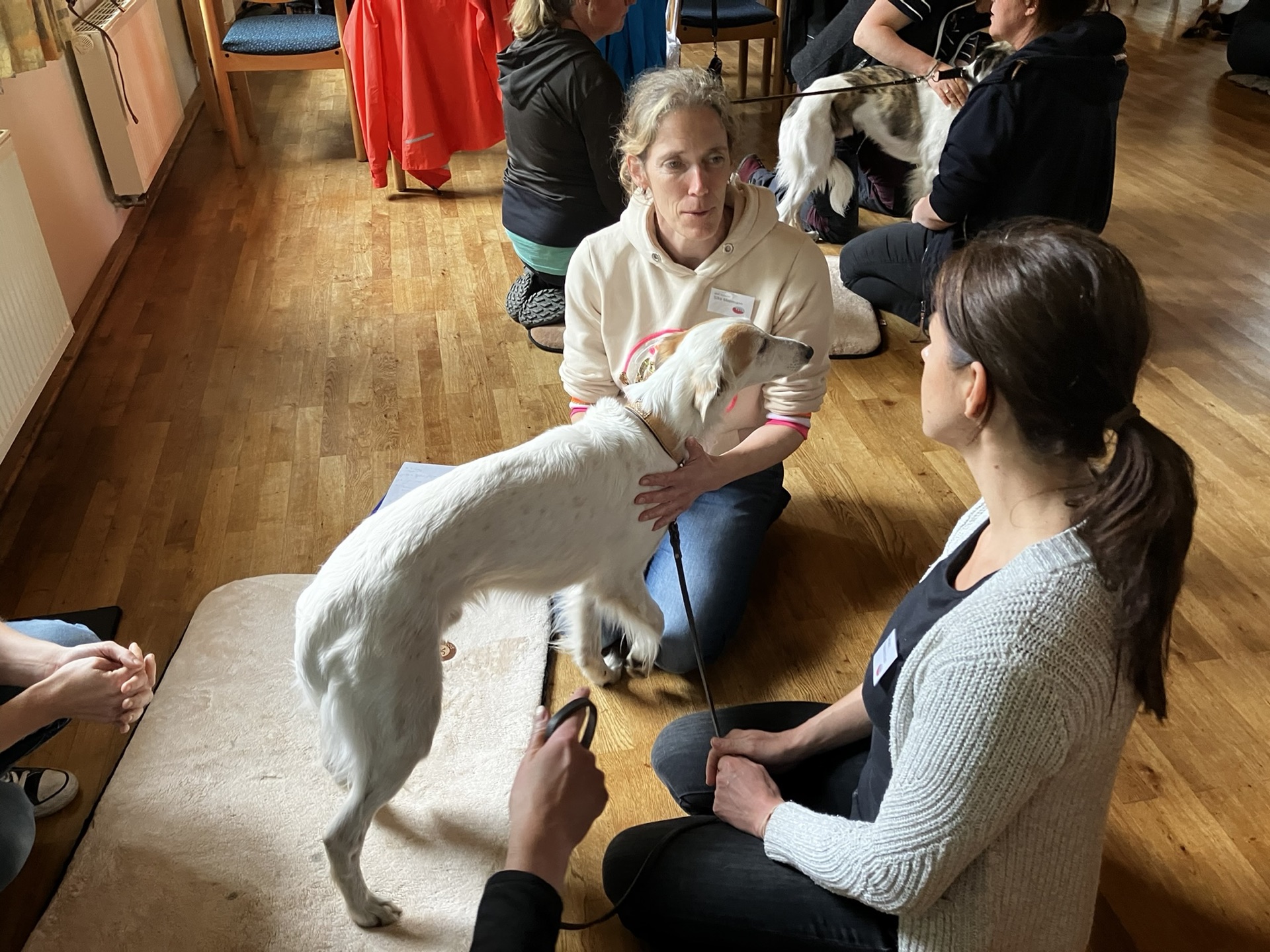 Advanced Small Animal seminar photo 4.