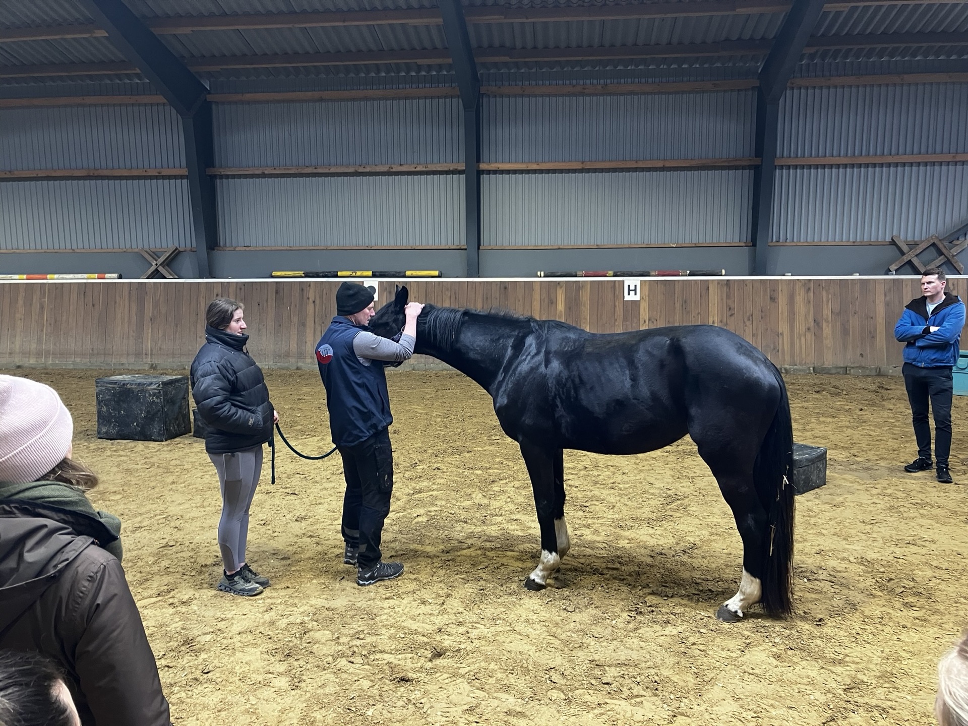 Advanced Equine seminar photo 3.