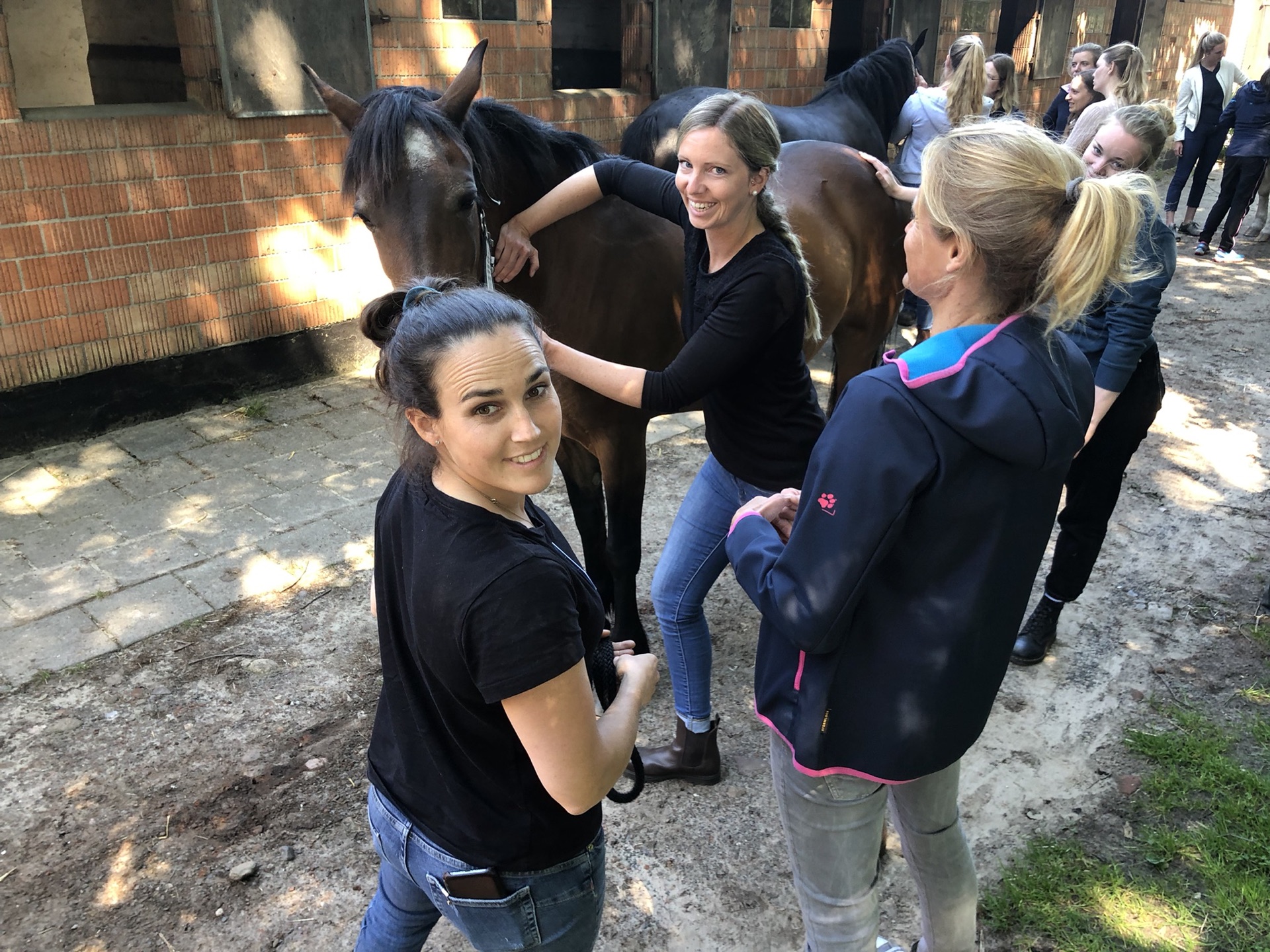 Advanced Equine seminar photo 5.