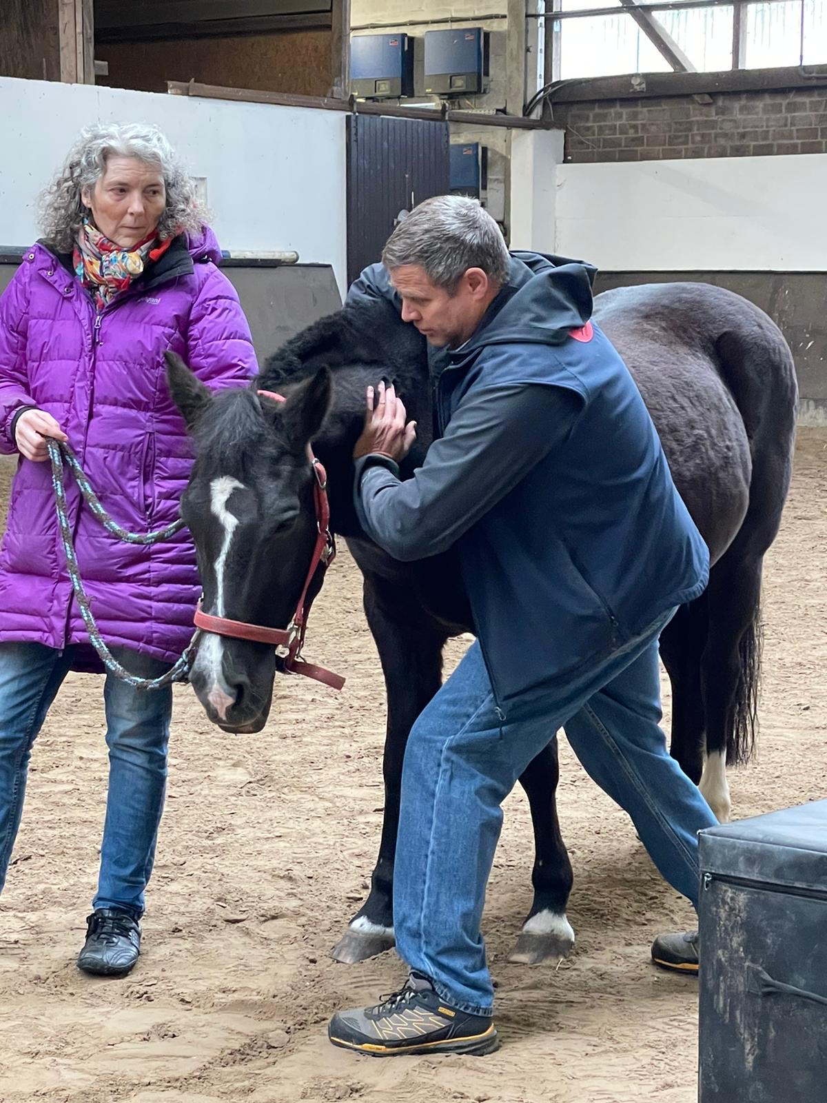 Advanced Equine seminar photo 6.