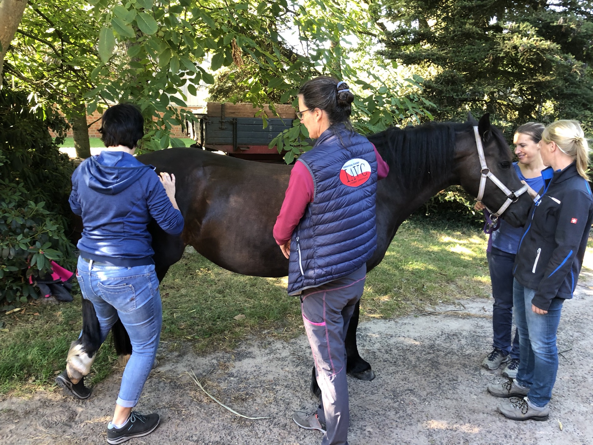 Advanced Equine seminar photo 2.