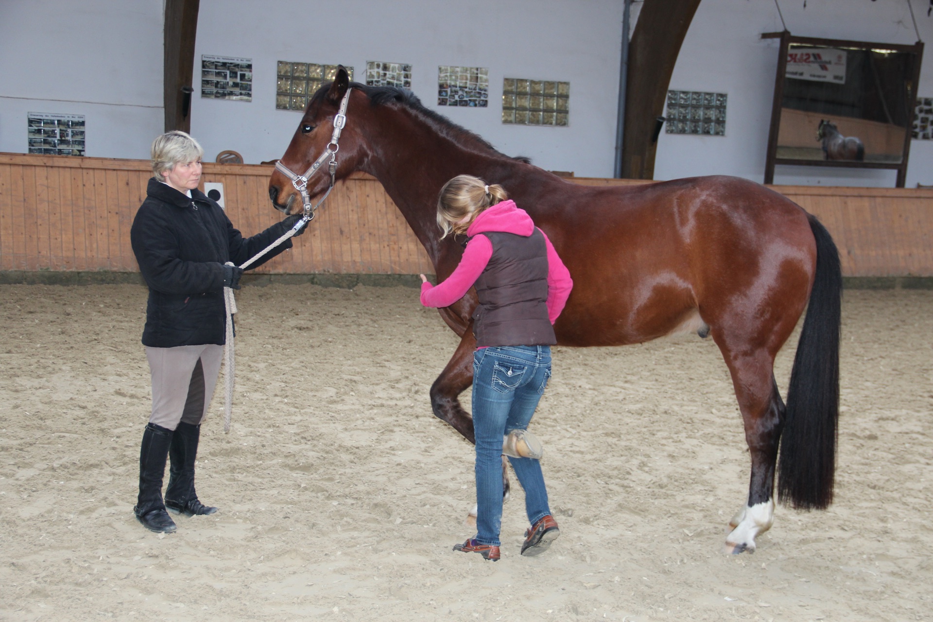 Advanced Equine seminar photo 3.