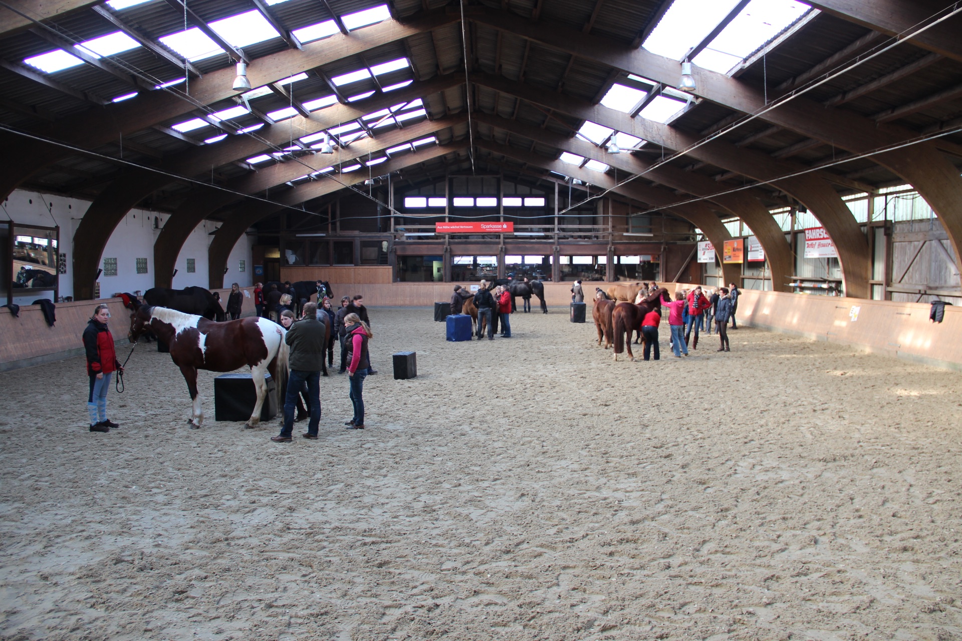 Advanced Equine seminar photo 2.