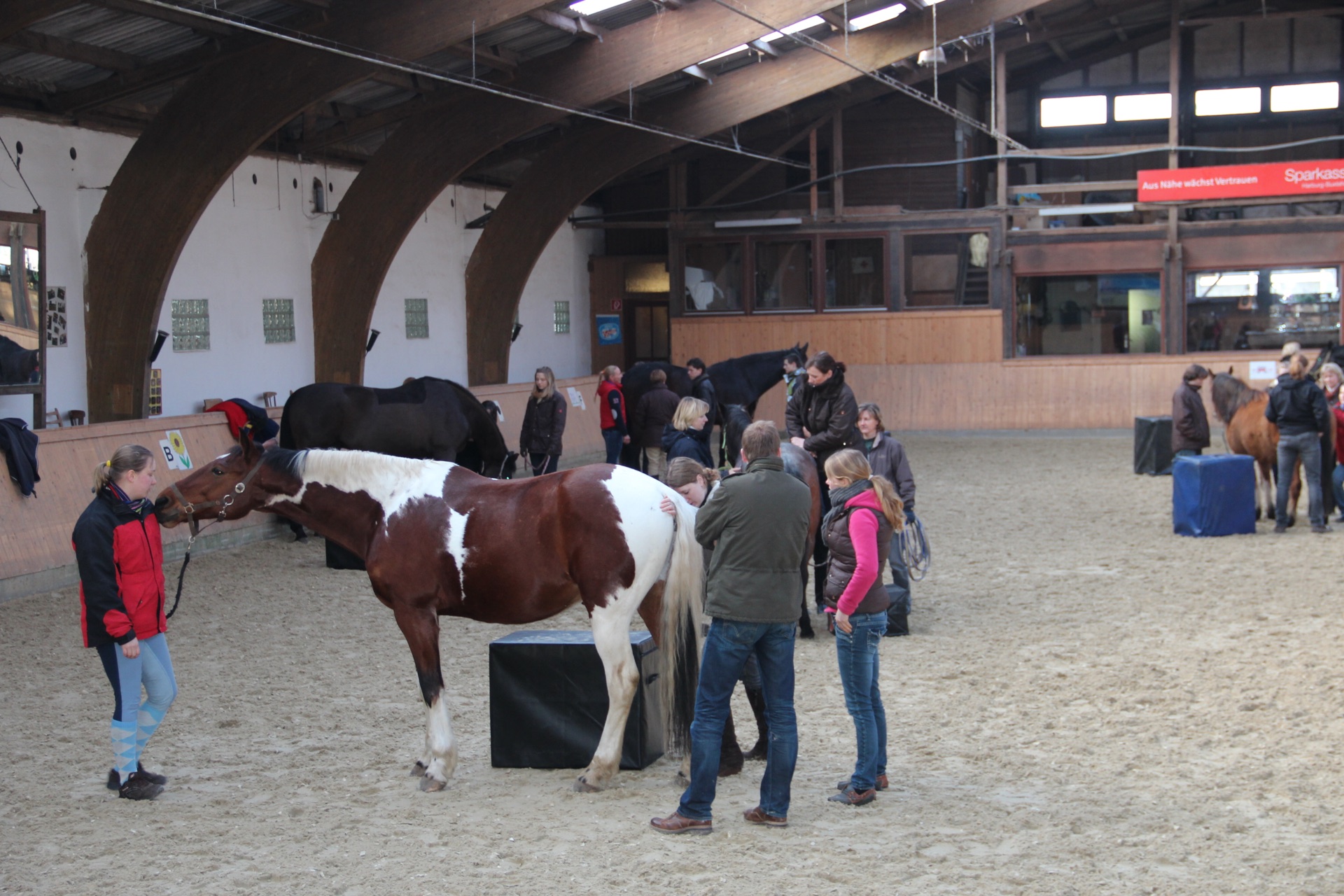 Advanced Equine seminar photo 3.