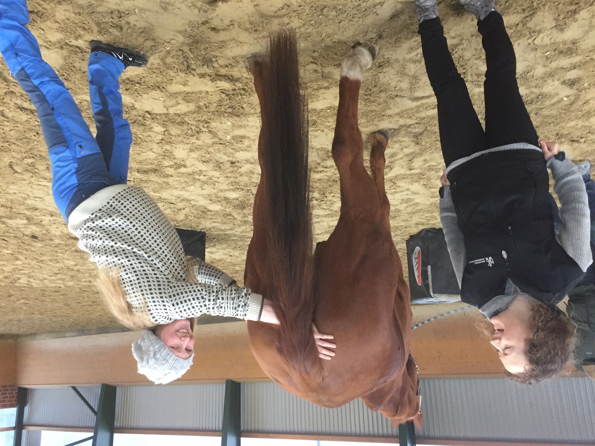 Advanced Equine seminar photo 4.