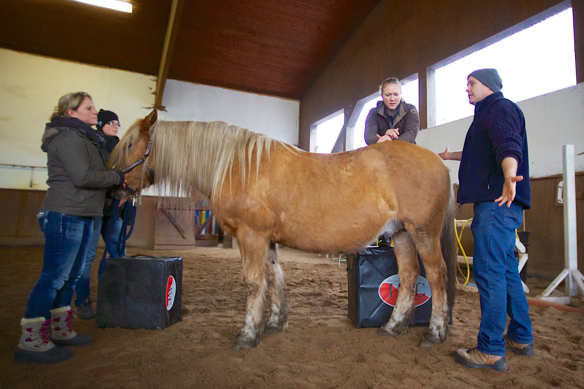 Advanced Equine seminar photo 6.