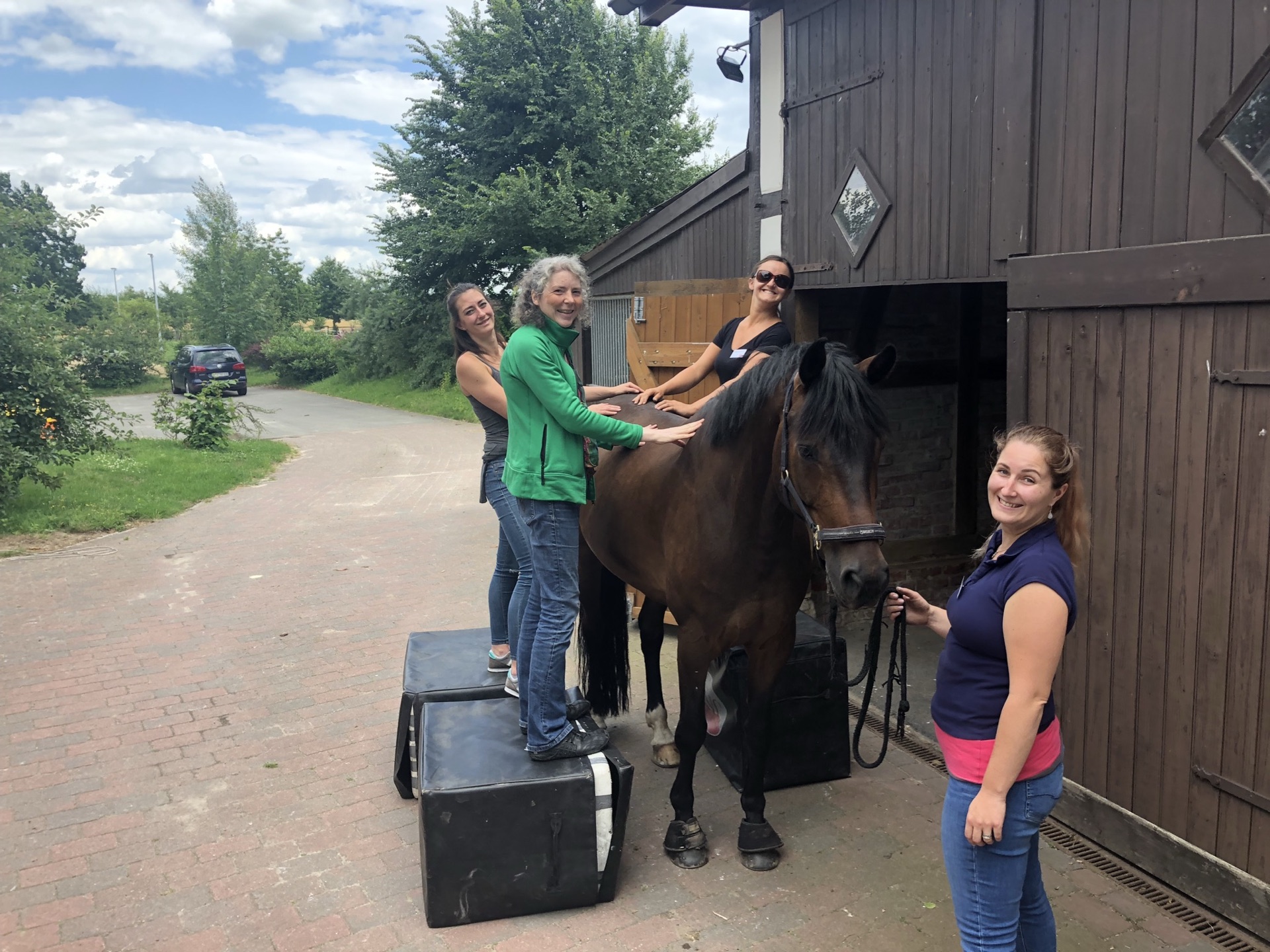 Advanced Equine seminar photo 5.