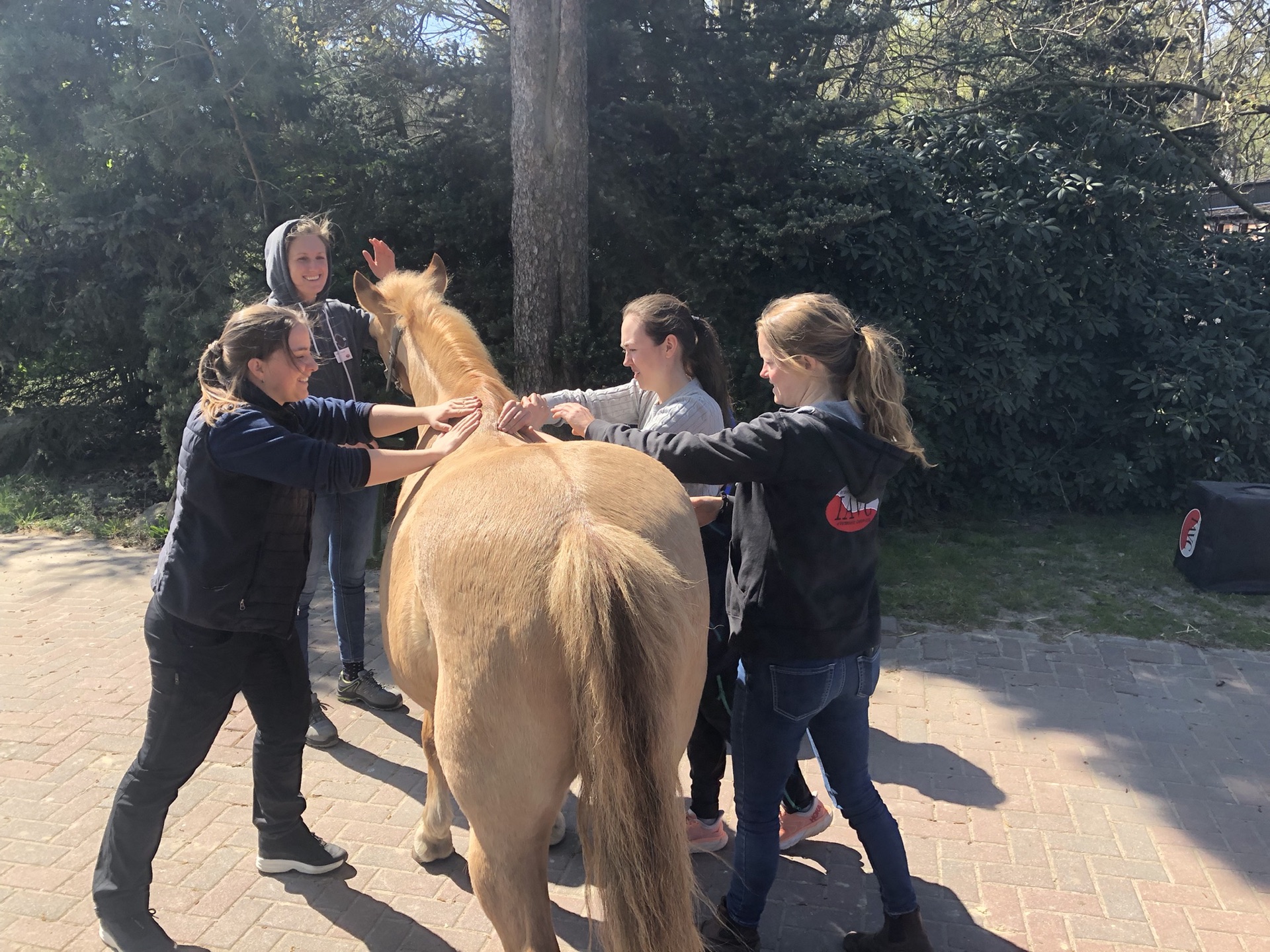 Advanced Equine seminar photo 6.