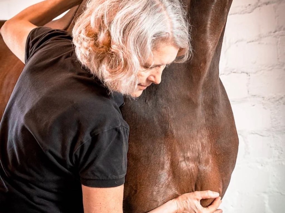 Veterinary practitioner assessing a horse's thoracolumbar region