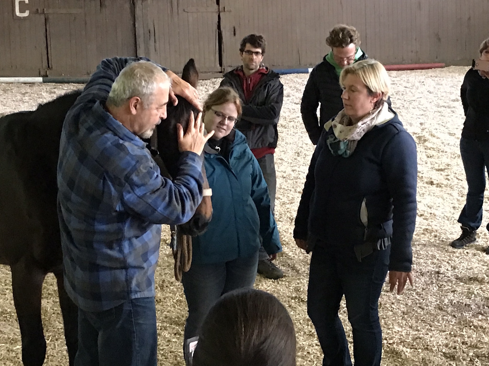 Applied Kinesiology seminar photo 8.