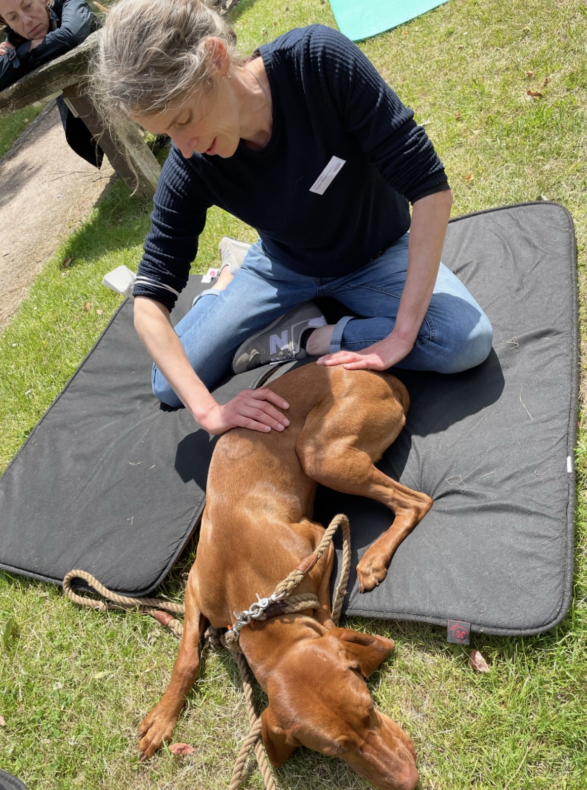 Canine myofascial treatment seminar