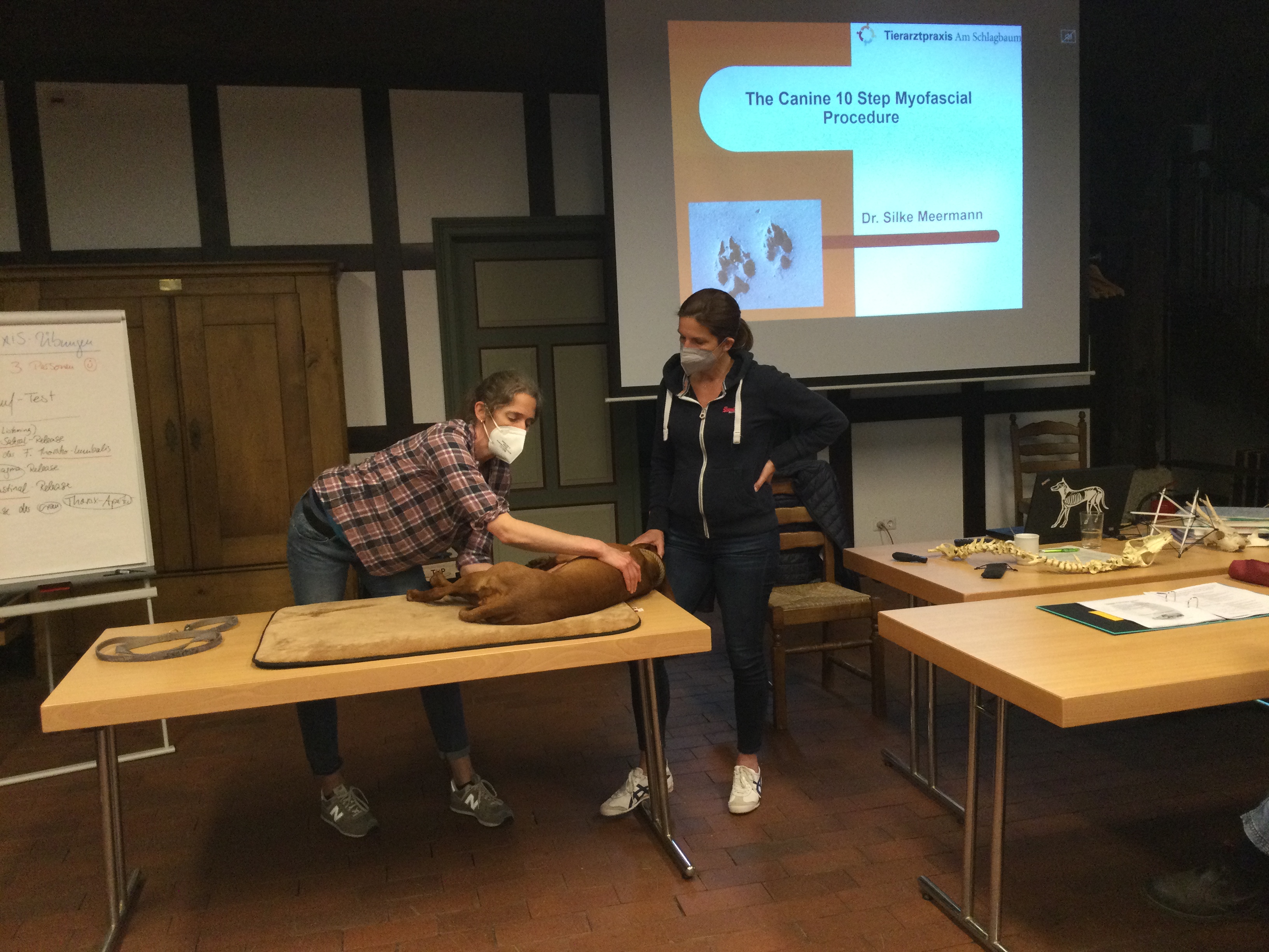 Canine 10-Step seminar photo 9.