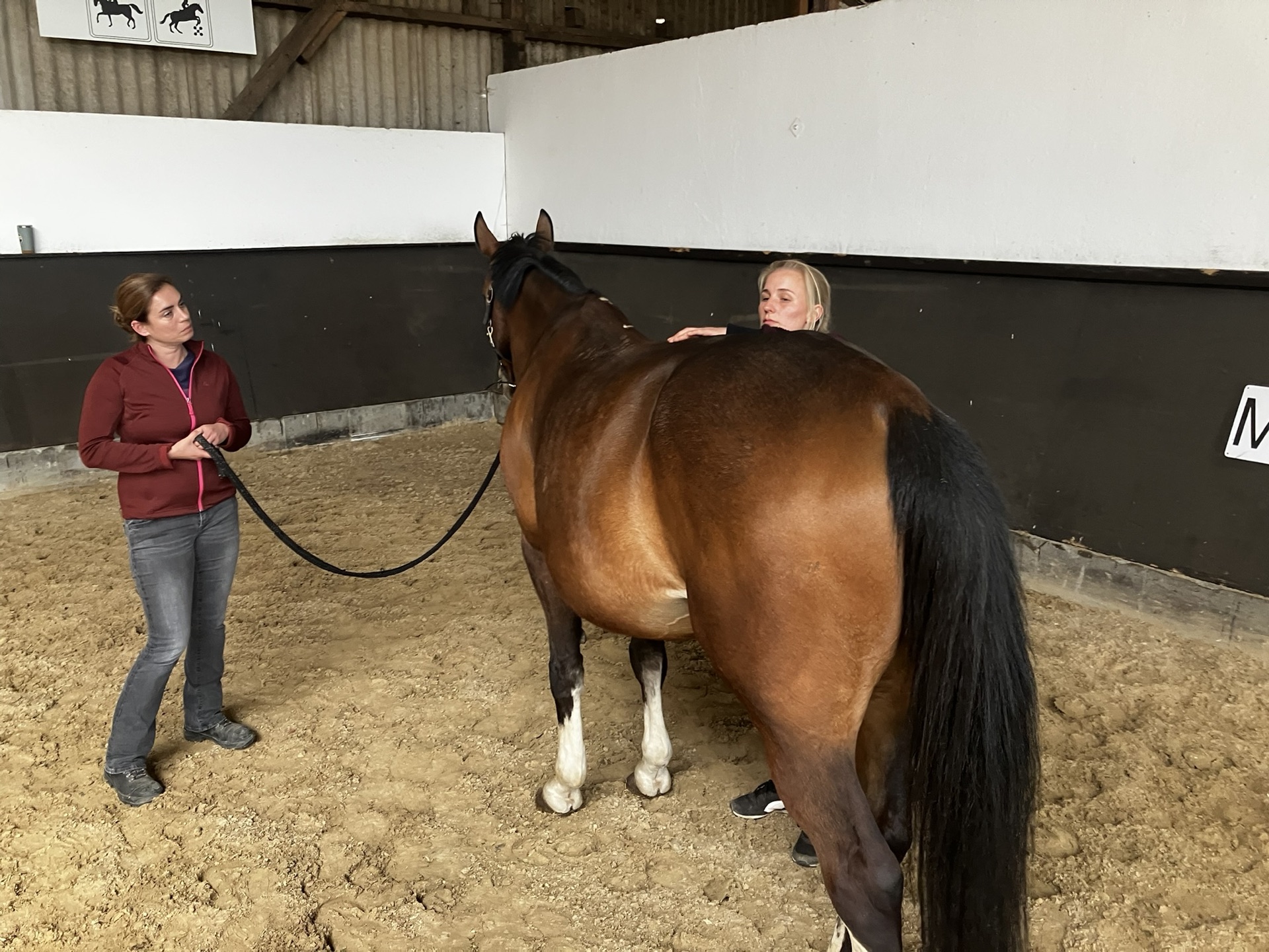 Cranio-Sacral Therapy seminar photo 2.