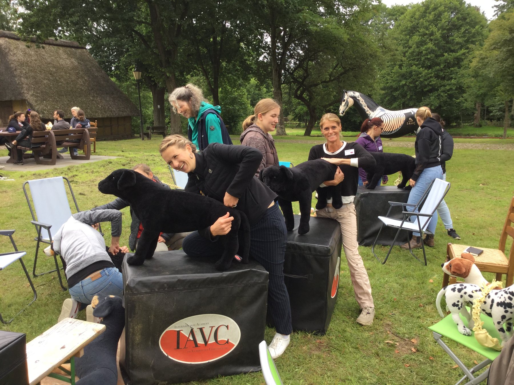 Outdoor IAVC training with canine models and an equine model in the background.