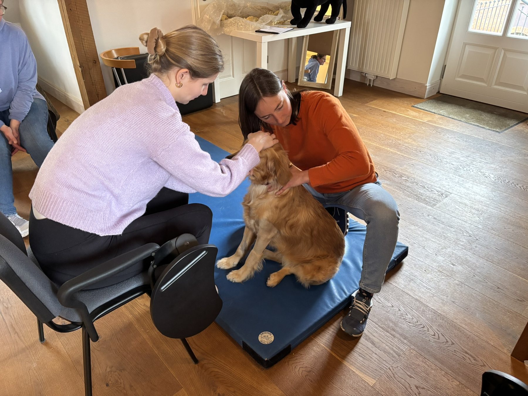 Students practising supervised canine palpation with a dog on a mat.