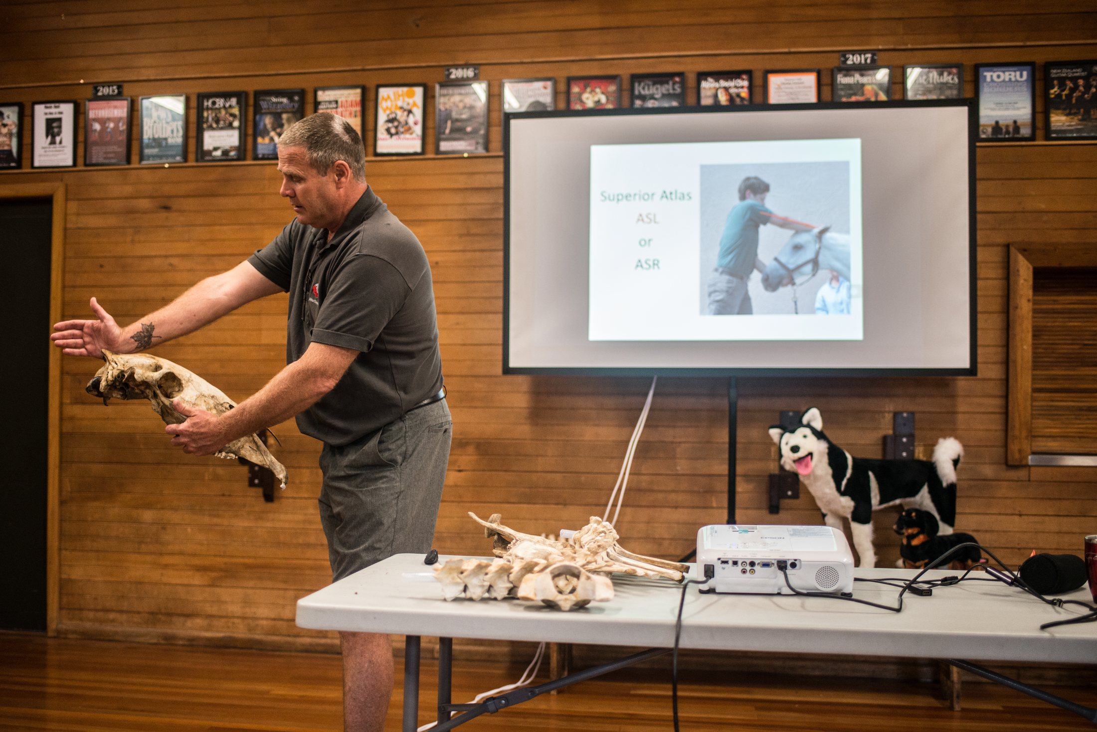 IAVC instructor teaching animal chiropractic anatomy and technique in a classroom setting